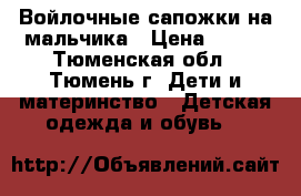 Войлочные сапожки на мальчика › Цена ­ 500 - Тюменская обл., Тюмень г. Дети и материнство » Детская одежда и обувь   